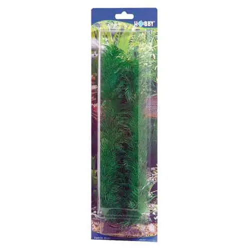 Schnäppchen HOBBY Plant Egeria 34 Centimeter Aquarieneinrichtung
